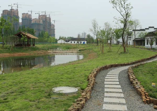 大桥生态园一期南侧景观提升及北侧景观铺装道路工程