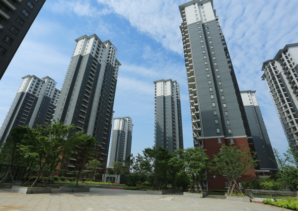 金山水城三期西地块景观绿化工程